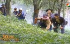 KOE8 Ep.4