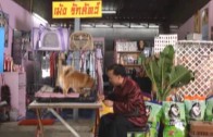 Jan Chara (2 of 2) thai movie