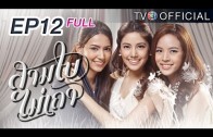 Sambaimaitao Ep.12 สามใบไม่เถา