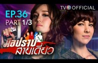 Mue Prap Sai Diao Ep.36 มือปราบสายเดี่ยว