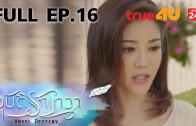 Angle Destiny Ep.16 อุบัติรักเทวา