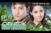 RoiPaWaiDuayRak EP.12 ร้อยป่าไว้ด้วยรัก