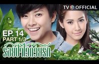 RoiPaWaiDuayRak EP.14 ร้อยป่าไว้ด้วยรัก