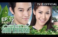 RoiPaWaiDuayRak EP.15 ร้อยป่าไว้ด้วยรัก