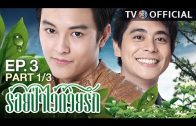 RoiPaWaiDuayRak EP.3 ร้อยป่าไว้ด้วยรัก