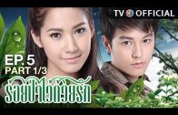 RoiPaWaiDuayRak EP.5 ร้อยป่าไว้ด้วยรัก