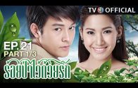 RoiPaWaiDuayRak EP.21 ร้อยป่าไว้ด้วยรัก