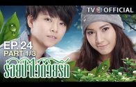 RoiPaWaiDuayRak EP.24 ร้อยป่าไว้ด้วยรัก