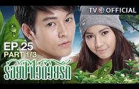 RoiPaWaiDuayRak EP.25 ร้อยป่าไว้ด้วยรัก