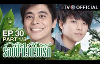 RoiPaWaiDuayRak EP.30 ร้อยป่าไว้ด้วยรัก