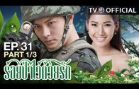 RoiPaWaiDuayRak EP.31 ร้อยป่าไว้ด้วยรัก