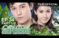 RoiPaWaiDuayRak EP.34 ร้อยป่าไว้ด้วยรัก