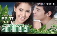 RoiPaWaiDuayRak EP.37 ร้อยป่าไว้ด้วยรัก